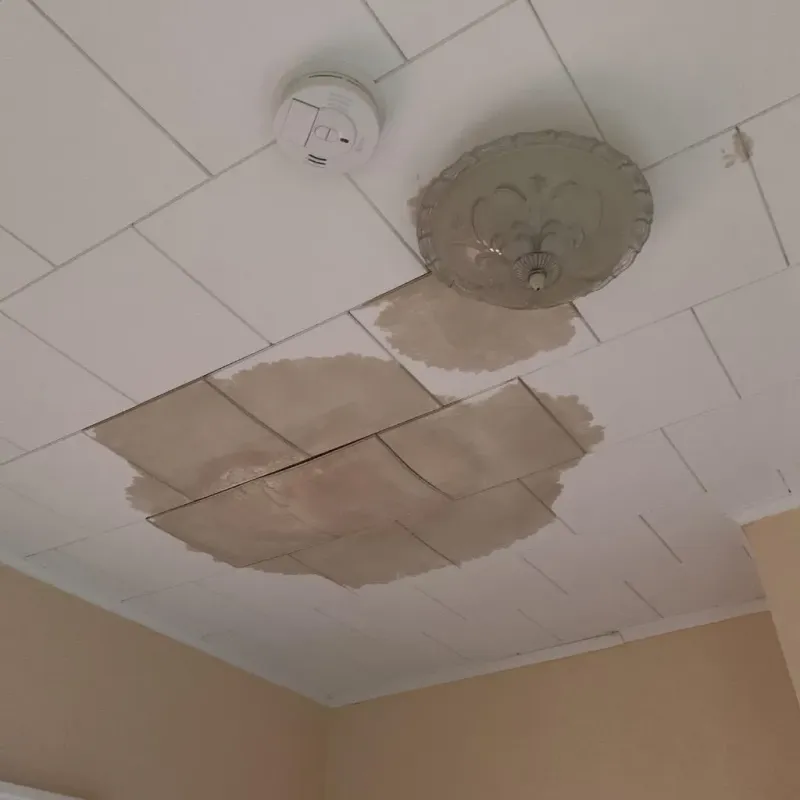 Ceiling Water Damage Repair in North Gates, NY