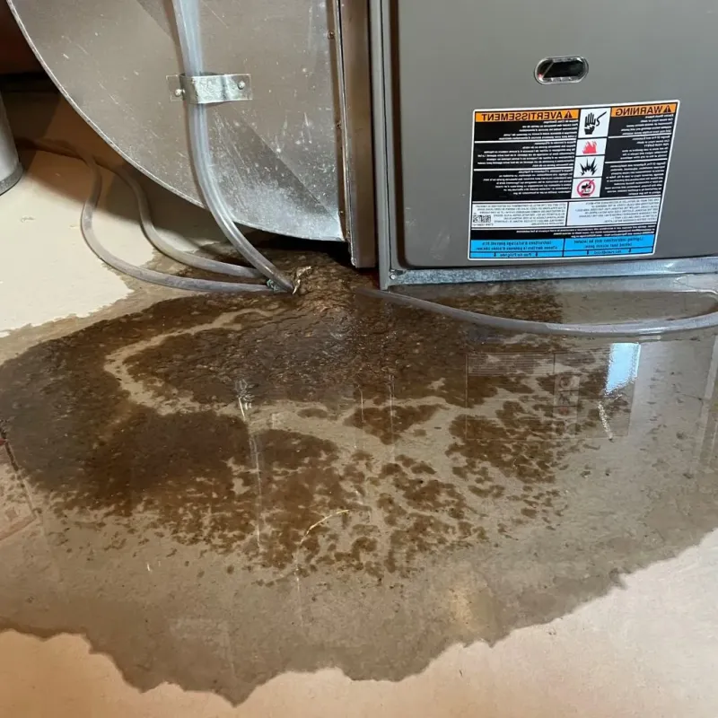 Pipe Burst and Leak Restoration in North Gates, NY